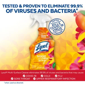 Lysol Brand New Day Bathroom Cleaning Foamer